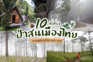 10 ที่เที่ยวป่าสนเมืองไทย สวยเหมือนไปต่างประเทศ