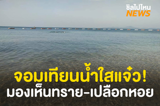 หาดจอมเทียน น้ำใสแจ๋ว! ชวนไปนั่งปิกนิก-เล่นน้ำ-ถ่ายรูปริมหาด วันหยุดนี้