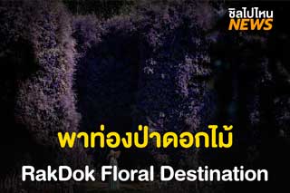 เตรียมกล้องถ่ายรูปให้พร้อม เพื่อนิทรรศกาลป่าดอกไม้ ที่ RakDok Floral Destination 