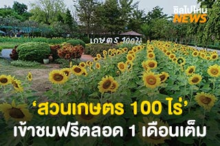 ไปถ่ายรูปที่สวนดอกไม้กันที่ ‘สวนเกษตร 100 ไร่’ เข้าชมฟรีตลอด 1 เดือนเต็ม