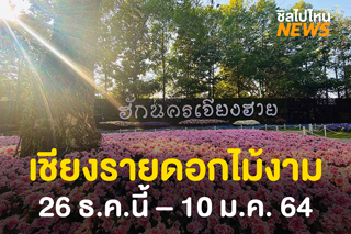 สัมผัสดอกไม้เมืองหนาวนานาพันธุ์ ในงาน 'เชียงรายดอกไม้งาม' ครั้งที่ 17 วันที่ 26 ธ.ค 63–10 ม.ค 64