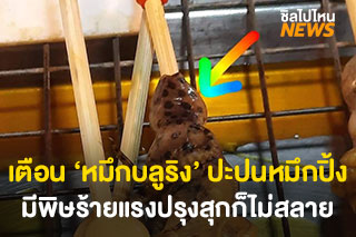 กรมทรัพยากรทางทะเลฯ เตือน ‘หมึกบลูริง’ ปะปนหมึกปิ้ง มีพิษร้ายแรงปรุงสุกก็ไม่สลาย