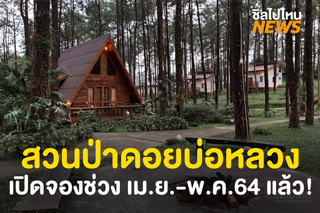 สวนป่าดอยบ่อหลวง จ.เชียงใหม่ เปิดให้จองแล้ว! สำหรับเข้าพัก เม.ย.-พ.ค. 64