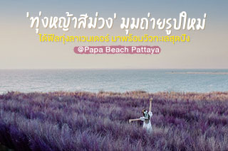 ‘ทุ่งหญ้าสีม่วง’ มุมถ่ายรูปใหม่ @Papa Beach Pattaya สวยปังได้วิวทะเล 