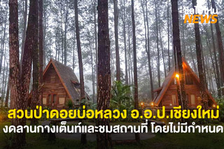 สวนป่าดอยบ่อหลวง อ.อ.ป. เชียงใหม่ งดให้บริการลานกางเต็นท์และการเข้าเยี่ยมชมสถานที่ โดยไม่มีกำหนด