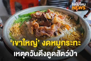 สายปิ้งย่างเศร้า ‘เขาใหญ่’ ยกเลิกขายหมูกระทะ เหตุควันรบกวนนักท่องเที่ยว-ดึงดูดสัตว์ป่า