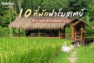 10 ที่พักฟาร์มสเตย์ทั่วไทย  อัพเดทใหม่ 2021