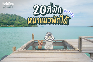 20 ที่พักติดทะเล หมาแมวพักได้ อัพเดทใหม่ 2021