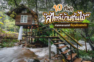 10 ที่พักสไตล์บ้านต้นไม้ทั่วไทย ท่ามกลางธรรมชาติที่คุณต้องหลงรัก อัพเดทใหม่ 2021 