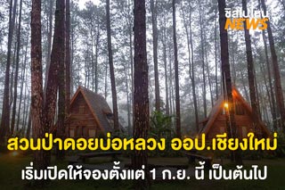 สวนป่าดอยบ่อหลวง ออป.เชียงใหม่ เปิดให้จองวันที่ 1 ก.ย. นี้วันแรก!!