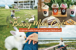 Bunny Moon Café คาเฟ่กระต่ายสุดชิล จิบฟาแฟ แลกว๊านพะเยาได้เต็มสายตา