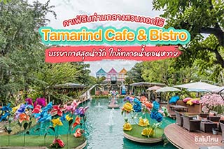 Tamarind Cafe & Bistro คาเฟ่ลับท่ามกลางสวนดอกไม้  บรรยากาศสุดน่ารัก ใกล้ตลาดน้ำดอนหวาย นครปฐม