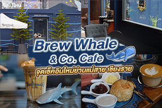 Brew Whale & Co. Cafe คาเฟ่ดีไซน์เก๋ จุดเช็คอินใหม่ย่านแม่สาย เชียงราย