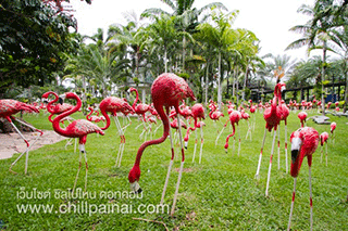 ที่เที่ยวชลบุรี : สวนนงนุช สถานที่ท่องเที่ยวเชิงอนุรักษ์ด้านพฤกษศาสตร์อีกแห่งหนึ่งของโลก