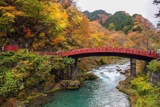 ที่เที่ยวญี่ปุ่น : เที่ยวญี่ปุ่น โตเกียว-นิกโก้-คาวากูจิโกะ 5 วัน 4 คืน ชมใบไม้แดง  (ตอนที่ 1)