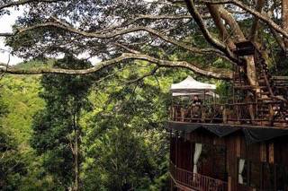 ที่พักบ้านต้นไม้ : 10 ที่พักบ้านต้นไม้ในเมืองไทย สวยอลังฯ ต้องไปให้ได้สักครั้ง 