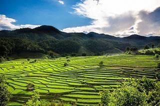 ที่เที่ยวบรรยากาศดี : 5 ที่เที่ยวนาขั้นบันไดเมืองไทยต้องไปชมให้ได้สักครั้ง