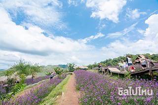 ทริป 3 วัน 2 คืน เที่ยวหมู่บ้านชาวเขา ดูนาขั้นบันได นอนโฮมสเตย์หลังเล็กในเชียงใหม่ จังหวัดที่ใครๆก็หลงรัก