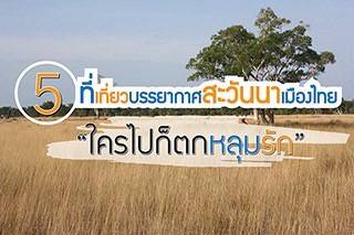 5 ที่เที่ยวบรรยากาศสะวันนาเมืองไทย ใครไปก็ตกหลุมรัก 