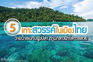 5 เกาะสวรรค์ในเมืองไทย ว่ายน้ำเล่นกับฝูงปลา ท่ามกลางฟ้าใสทะเลสวย 