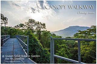 พร้อมเปิด ธ.ค.นี้ !!!! Canopy walkway สะพานชมธรรมชาติลอยฟ้า ที่เชียงใหม่