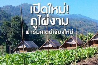 เปิดใหม่ “ภูไผ่งาม” ฟาร์มสเตย์เชียงใหม่ เก็บผักสดปลอดสาร ทำอาหารกินเองชิลๆ คลีนๆ