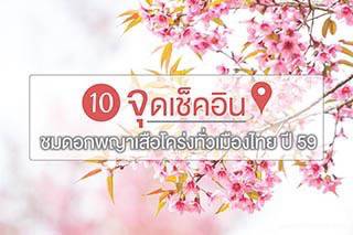 10 จุดเช็คอิน ชมดอกนางพญาเสือโคร่งทั่วเมืองไทย พร้อมข่าวอัพเดท ปี 59