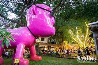 ทริปเที่ยวเชียงใหม่-แม่กำปองแบบไม่ง้อรถส่วนตัว 3 วัน 2 คืน งบ 5,000 บาท