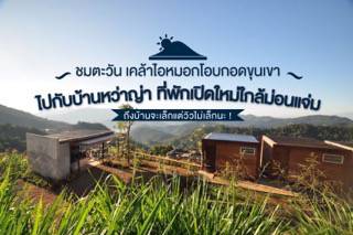ชมตะวัน เคล้าหมอก โอบกอดขุนเขาไปกับบ้านหว่าญ่า ที่พักใกล้ม่อนแจ่ม ถึงบ้านจะเล็กแต่วิวไม่เล็กนะ !