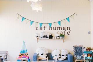 รีวิว Cat Human Cafe คาเฟ่น้องเหมียวเปิดใหม่ย่านพุทธมณฑลสาย 2
