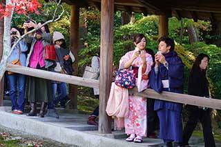 พาชาวโซเชี่ยลไปเที่ยวเกียวโต ชมใบไม้แดง ที่ญี่ปุ่น