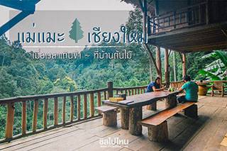 ที่เที่ยวเชียงใหม่ : เมื่อเวลาเดินช้าที่บ้านต้นไม้ แม่แมะ เชียงใหม่