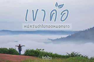 ทริปเขาค้อ 3 วัน 2 คืนกอดสายหมอกแล้วสนุกกับเครื่องเล่นแอดเวนเจอร์