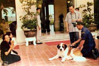 เรื่องราวของ 'คุณหลวงแจ่ม' สุนัขทรงเลี้ยงพันธ์ุเซนต์เบอร์นาร์ด เจ้าตัวโตผู้เกิดมาเป็นคุณหลวง