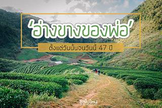 ทริปเชียงใหม่ฟินๆ 3 วัน 2 คืน ชวนให้หัวใจพองโตไปกับ ' อ่างขางของพ่อ '