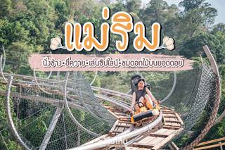 ทริปตัวอย่าง : เที่ยว แม่ริม 2 วัน 1 นั่งช้าง ขี่ควาย เล่นซิปไลน์ ชมดอกไม้บนยอดดอย