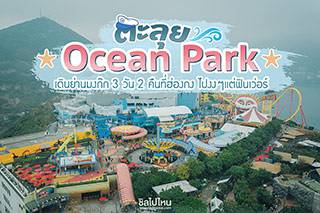 ตะลุย Ocean Park เดินเล่นย่านมงก๊ก 3 วัน 2 คืนที่ฮ่องกง ไปงงๆแต่ฟินเว่อร์ !