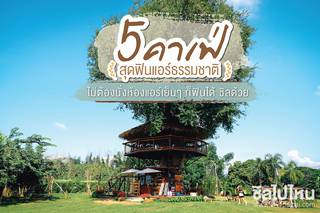 5 คาเฟ่สุดฟินแอร์ธรรมชาติ ไม่ต้องนั่งห้องแอร์เย็นๆ ก็ฟินได้ ชิลด้วย