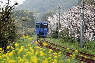 8 ขบวนรถไฟน่านั่งในญี่ปุ่น ชวนตะลุยเที่ยวคิวชู อู้หูววว..วิวอย่างปัง!
