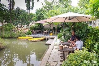 จิบกาแฟ พายเรือที่ 'After the Rain Coffee & Gallery' คาเฟ่ในสวน สไตล์กลาสเฮ้าส์
