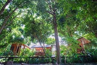 ร่มเย็นเฮ้าส์ โฮมสเตย์อุทัยธานีบรรยากาศบ้านสวนริมแม่น้ำเจ้าพระยา