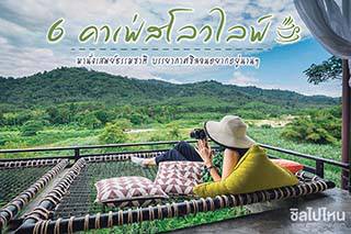 ร้านกาแฟแถวนี้น่านั่งจัง กับ 6 คาเฟ่สโลวไลฟ์ มานั่งเสพย์ธรรมชาติ บรรยากาศชิลจนอยากอยู่นานๆ