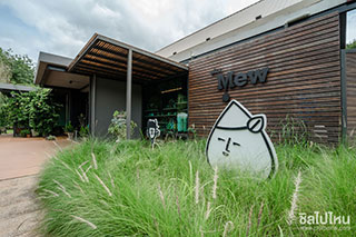 The Mew เขาใหญ่ เห็นร้านเรียบๆ มีเรื่องให้ว้าวเพียบนะครับ