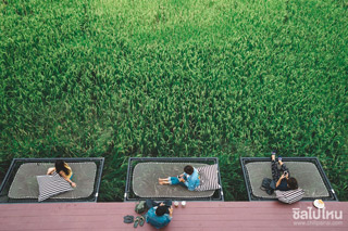 เช็คอินก่อนใครที่ 'มีนา Cafe' คาเฟ่สุดชิลวิวทุ่งนา อยู่ไม่ไกลแค่กาญจนบุรีนี่เอง!