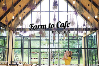 The Village Farm to Café คาเฟ่เปิดใหม่กาญจนบุรี ที่เสิร์ฟความสดอร่อยจากฟาร์มถึงโต๊ะ