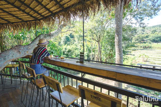 Zombie Café คาเฟ่เท่ๆ บรรยากาศแบบ 3 in 1 กับบ้านต้นไม้ ลำธาร และอาหารสไตล์ซอมบี้! ที่แม่ริม เชียงใหม่