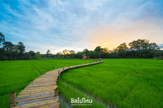 สะพานทุ่งนามุ้ย ที่เที่ยวใหม่จังหวัดนครนายก