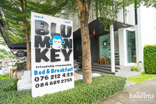 Blu Monkey Bed & Breakfast นอนฟินกับพี่ลิงสีฟ้า ที่พักเท่ๆ ถูกใจวัยรุ่น
