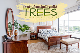 แต่งบ้านด้วยเฟอร์นิเจอร์ไม้ที่ Trees Furniture