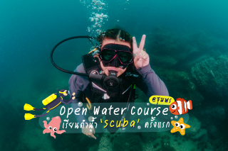 Open Water Course @ชุมพร กับประสบการณ์ เรียนดำน้ำ